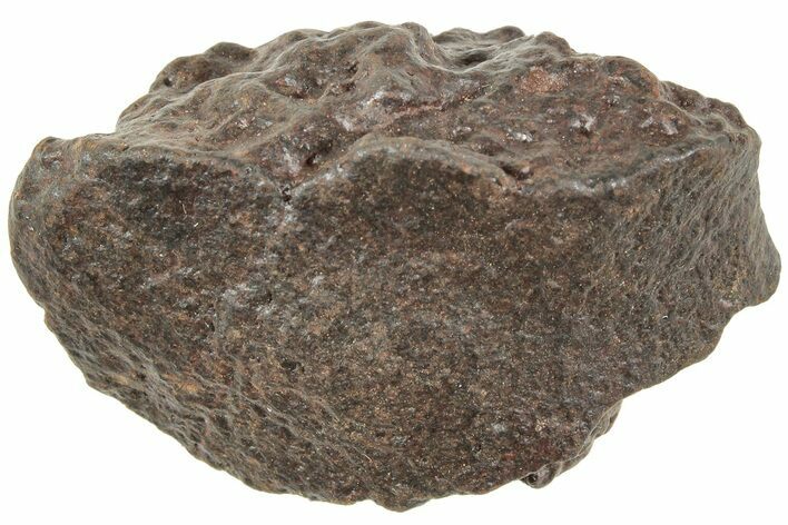 Chondrite Meteorite ( g) - Western Sahara Desert #233222